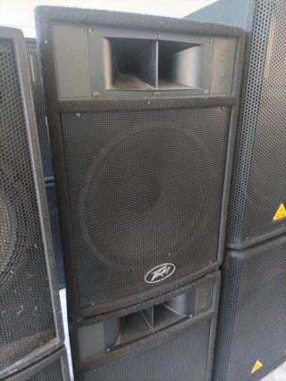 Altavoz Peavey ST-15 15 pulgadas