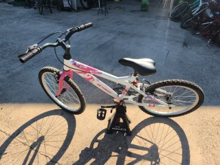 Bicicleta infantil niña 20 pulgadas