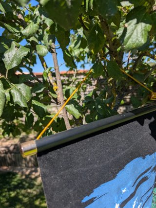 Dos tapices de terciopelo estilo pergamino