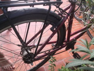 Bicicleta Paseo BLAUE