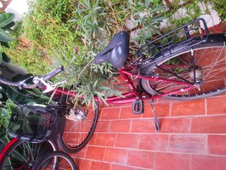 Bicicleta Paseo BLAUE