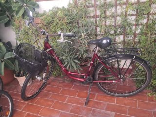 Bicicleta Paseo BLAUE