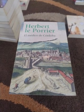 Lote de 8 novelas históricas de autores muy conoci
