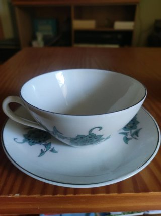 Taza y platillo de porcelana floral Bidasoa