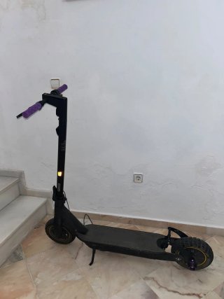 Patinete Ninebot G30 Max