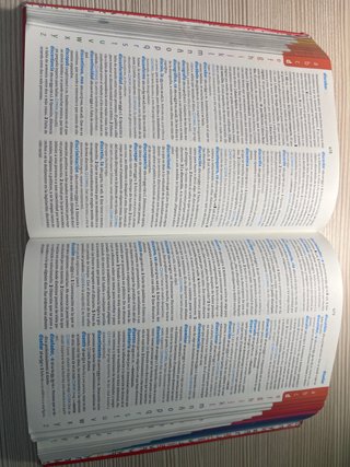 Diccionario Avanzado Primaria. Lengua española