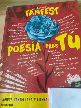 Lengua castellana y literatura 1 Secundaria