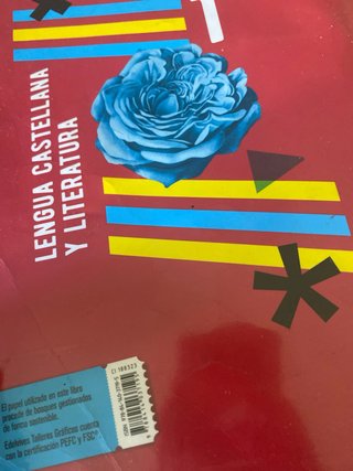 Lengua castellana y literatura 1 Secundaria