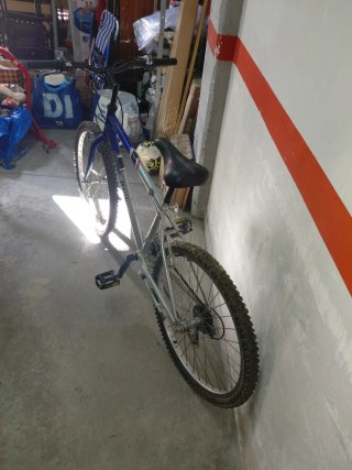 Bicicleta Globetrotter infantil
