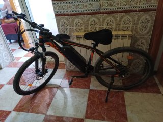 Bicicleta Eléctrica