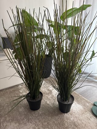 Plantas Artificiales Ikea