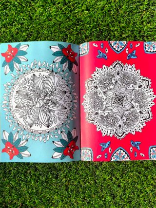 Taller de la calma. Mandalas en la naturaleza