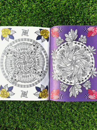 Taller de la calma. Mandalas en la naturaleza
