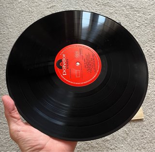 Vinilo Stone The Crows