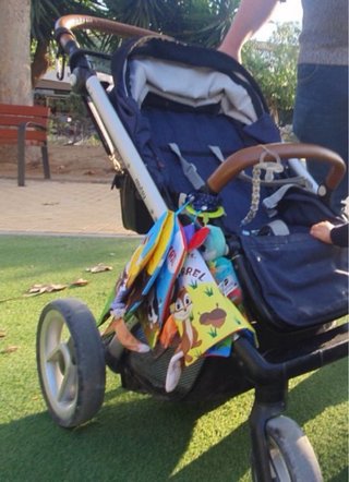 Carrito Mutsy azul completo