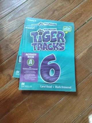 Libros Tiger Tracks 6 Primaria Macmillan