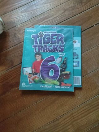 Libros Tiger Tracks 6 Primaria Macmillan