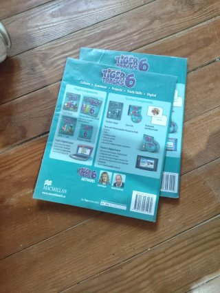 Libros Tiger Tracks 6 Primaria Macmillan