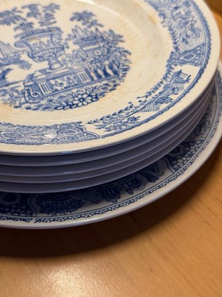 Platos Vargas Segovia