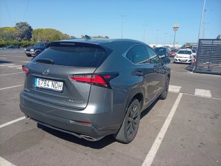 Lexus NX 2019