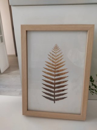Cuadro Lámina Hoja Seca Ikea y Maison du Monde