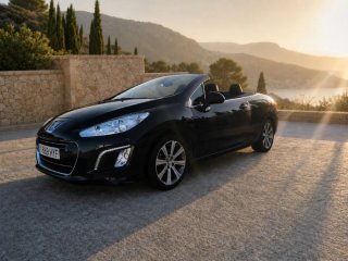 Peugeot 308 2010