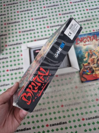 Brutal Paws of Fury Super Nintendo