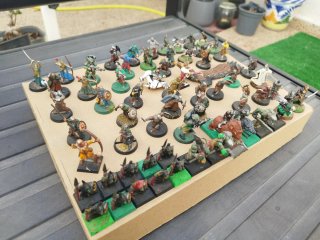 Lote Warhammer y El señor de los anillos.