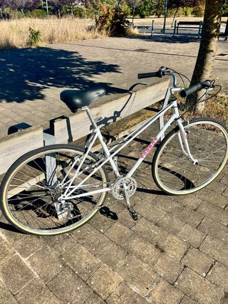 Bicicleta Clásica Torrot 313
