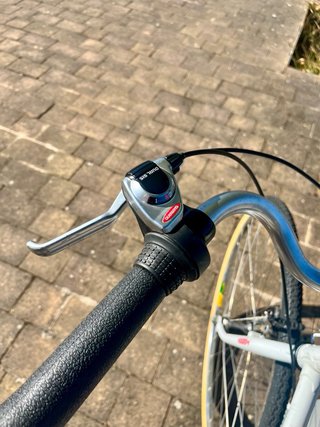 Bicicleta Clásica Torrot 313