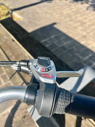 Bicicleta Clásica Torrot 313