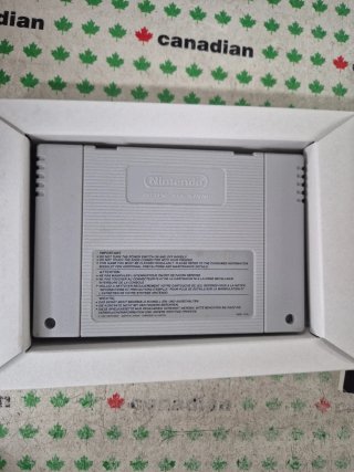 The Pagemaster Super Nintendo