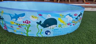 Piscina infantil con dibujos de animales marinos