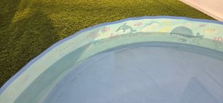 Piscina infantil con dibujos de animales marinos