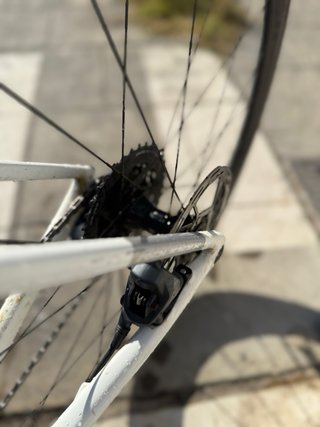 Specialized Roubaix Pro 2021