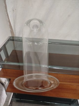 Vaso in vetro soffiato trasparente