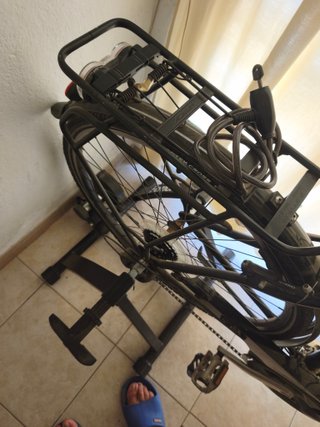 Bicicleta mixta con rodillo y alforjas