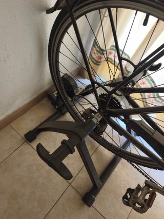 Bicicleta mixta con rodillo y alforjas