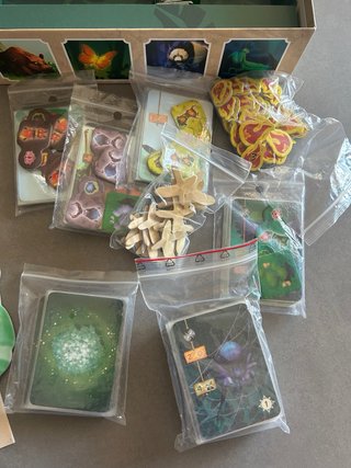 Living Forest Gioco da Tavolo