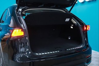 Lexus NX 2.5 300h Executive Navigation 4WD