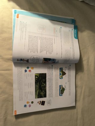 Lengua 4 primaria