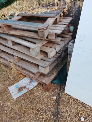 Palets de madera usados Lote de palets10e