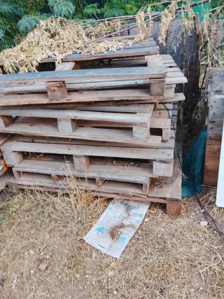 Palets de madera usados Lote de palets10e