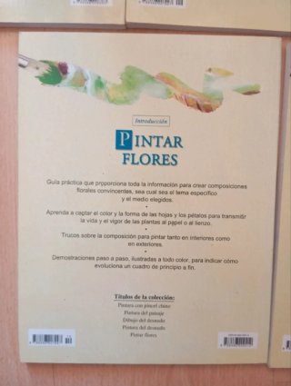 Lote 5libros introducción a la pintura y el dibujo