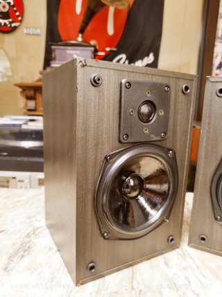 Altavoces GALE GOLD MONITOR Ingleses