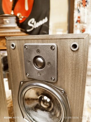 Altavoces GALE GOLD MONITOR Ingleses