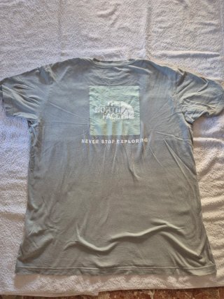Camiseta The North Face Gris