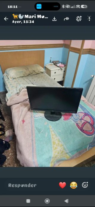 Monitor Acer Negro