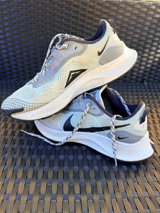 Zapatillas Nike Pegasus Trail 39