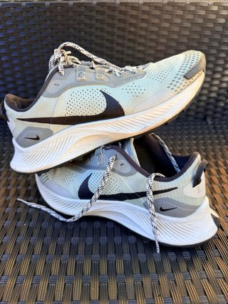 Zapatillas Nike Pegasus Trail 39